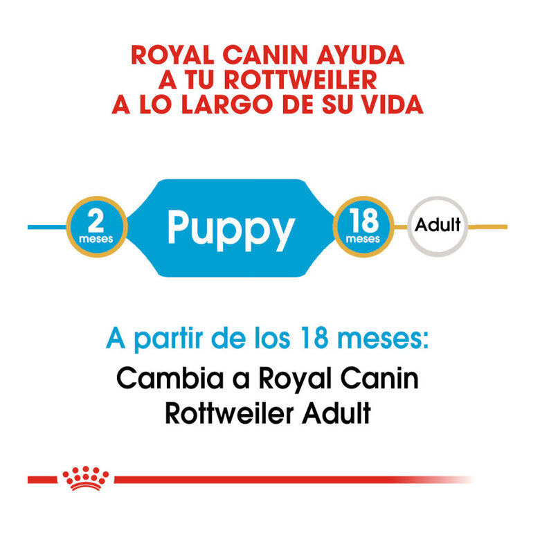 Royal Canin Puppy Rottweiler pienso para perros , , large image number null